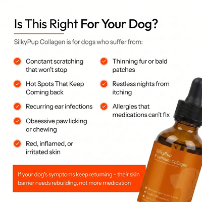 SilkyPup Premium Liquid Collagen