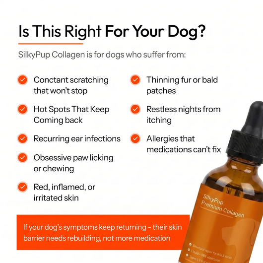 SilkyPup Premium Liquid Collagen