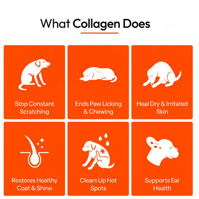 SilkyPup Premium Liquid Collagen